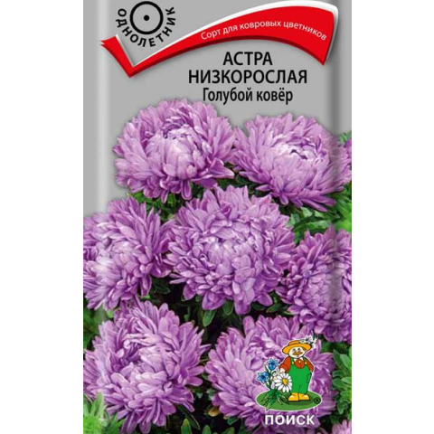 Семена Астра (Поиск) Голубой ковер 0,2г
