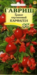 Семена Гранат (Гавриш) Карфаген 5шт