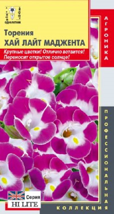 Семена Торения (Плазма) Хай лайт Маджента