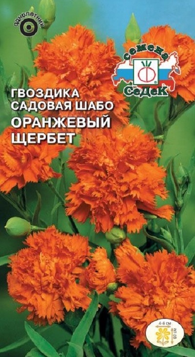 b93be9936e848a180e7847aeb87aa332