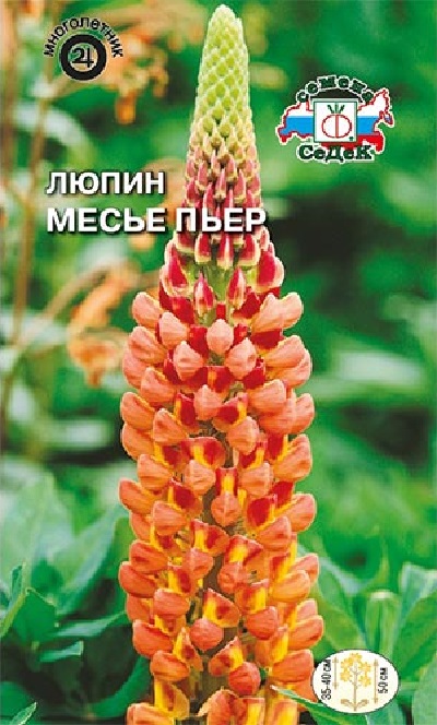 Семена Люпин (Седек) Месье Пьер 0,2г