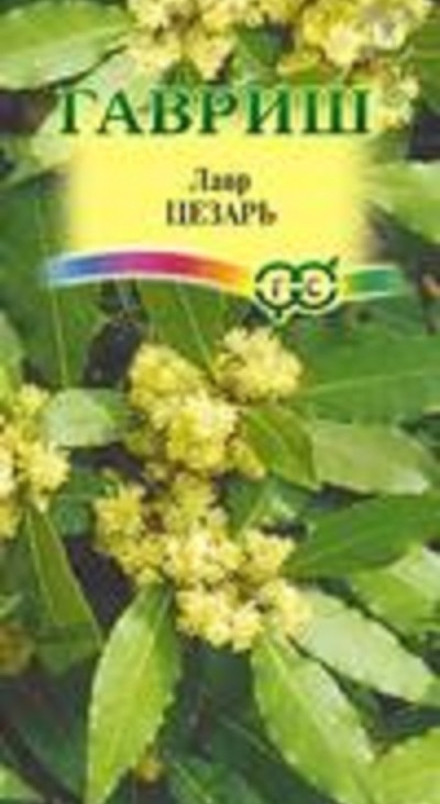 ba6b53bf09c2f6dc0c9edac7075fb0bc