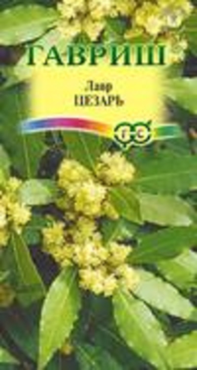 Семена Лавр (Гавриш) Цезарь