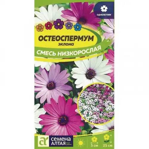 Семена Остеоспермум (Семена Алтая) Эклона Смесь низкорослая