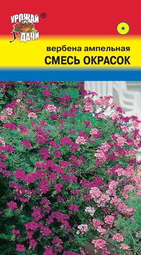 Семена Вербена (Урожай Удачи) Ампельная Смесь окрасок 0,1гр.