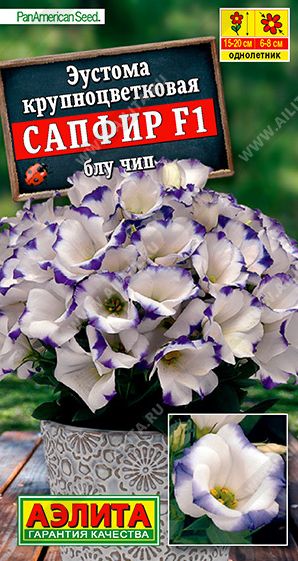Семена Эустома (Аэлита) Сапфир Блу чип 5шт