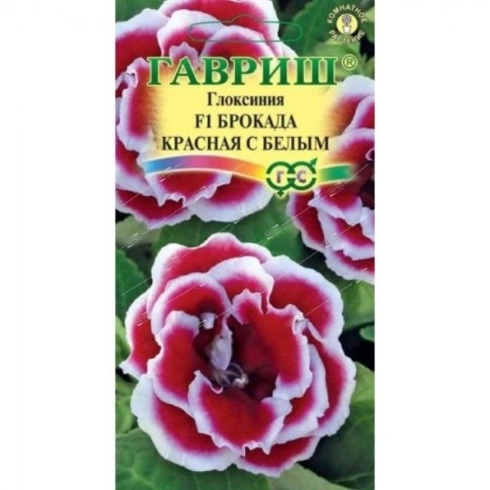 Семена Глоксиния (Гавриш) Брокада красная с белым