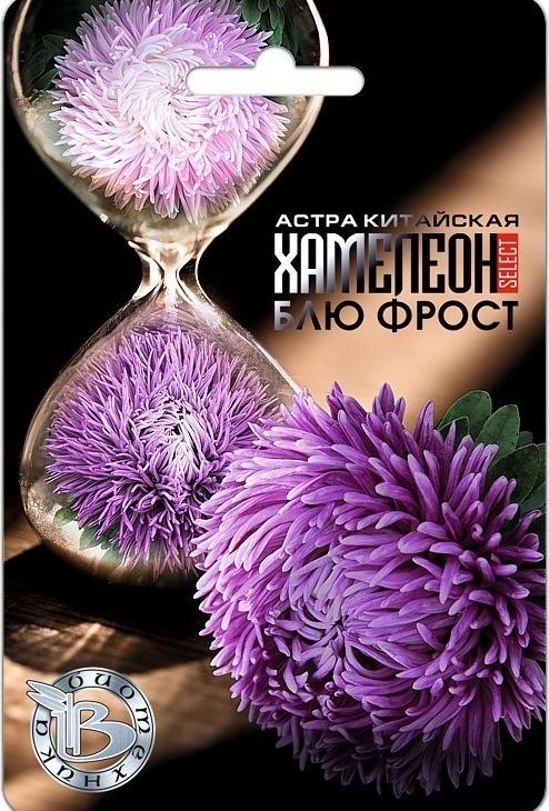 bdf2e7d14e960ea850891701adea4cd9