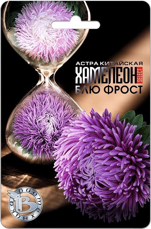 Семена Астра (Биотехника) Хамелеон селект Блю Фрост 30шт
