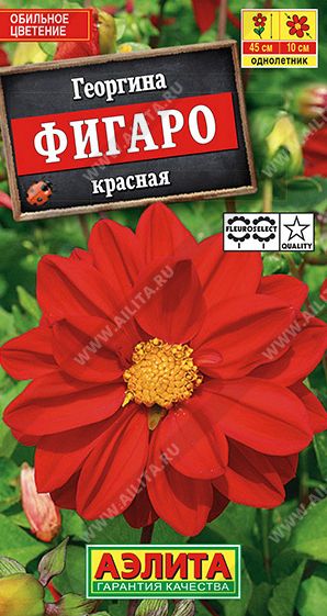 Семена Георгина (Аэлита) Фигаро красная 7шт