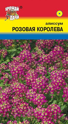 Семена Алиссум (Урожай Удачи) Розовая Королева 0,1г
