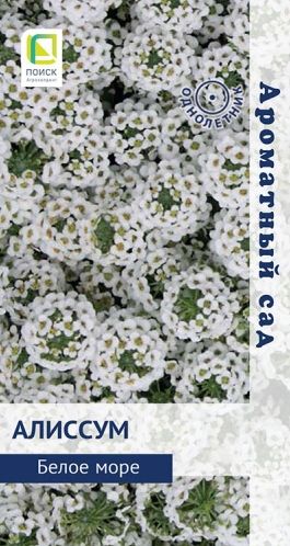 Семена Алиссум (Поиск) Белое море 0,3гр