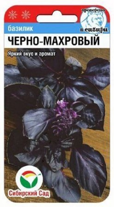 Семена Базилик Черно-махровый  (Сиб.сад) 0,5г
