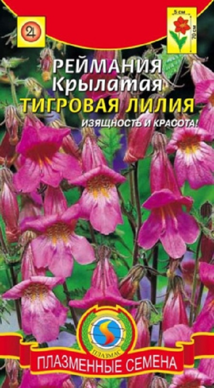 Семена Реймания (Плазма) Тигровая лилия