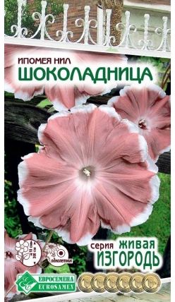 Семена Ипомея (Eurosamen) Шоколадница