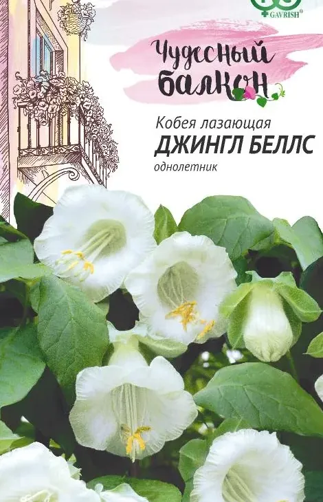924de70bbf9ff37b8735bd80fb2c25af