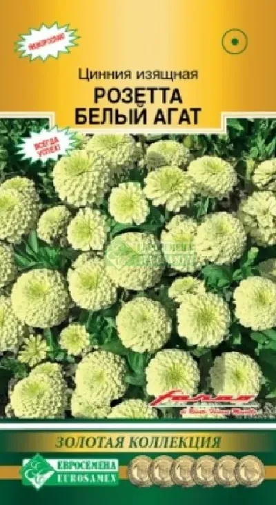 7eb834273ca663e673661e151c0d65b1