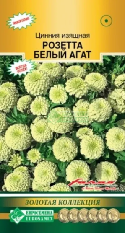 Семена Цинния Розетта Белый агат (Eurosamen) 5шт