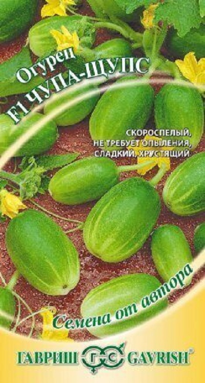 Семена Огурец Чупа Щупс (Гавриш) 5шт