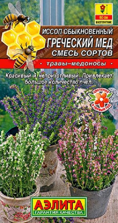 Семена Иссоп Греческий мед смесь сортов (Аэлита) 0,1 гр.