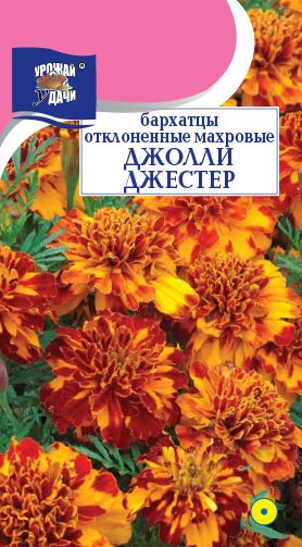 Семена Бархатцы (Урожай удачи) Джолли Джестер
