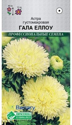 Семена Астра Гала Еллоу (Eurosamen) 10шт