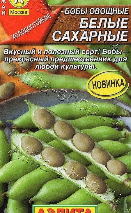 cd9e62bb910abf409ffe07b05cfd7d1e