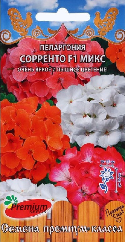 Семена Пеларгония (П.Сидс) Сорренто 5шт