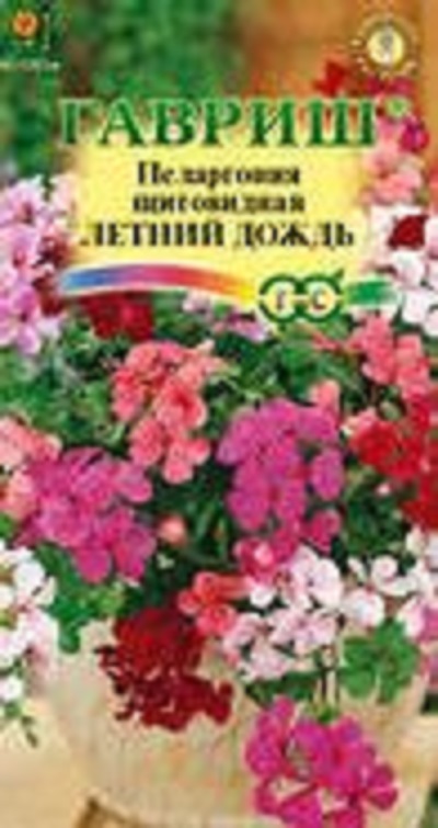 Семена Пеларгония (Гавриш) Летний дождь амп. 3шт