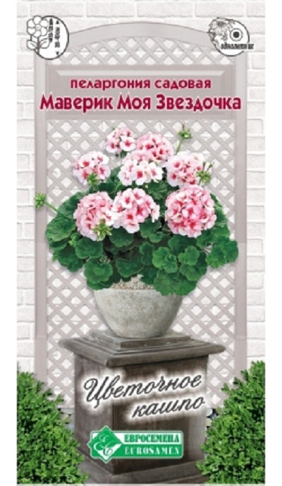 Семена Пеларгония (Eurosamen) Маверик Моя звездочка 3шт