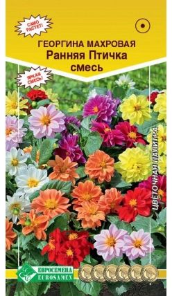 Семена Георгина (Eurosamen) Ранняя птичка смесь 0,2гр.