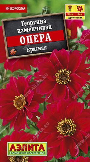 Семена Георгина (Аэлита) Опера красная