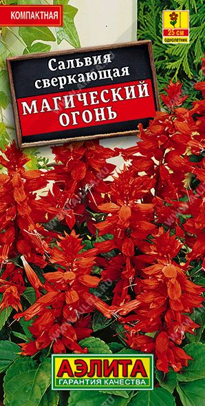 Семена Сальвия (Аэлита) Магический огонь 0,1гр