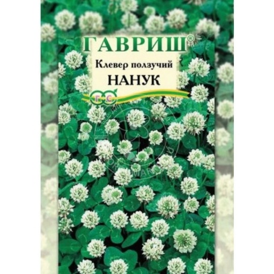 Сидерат Клевер белый Нанук 20г (Гавриш)