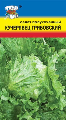 Семена Салат Кучерявец Грибовский (Урожай Удачи) 0,5 гр.