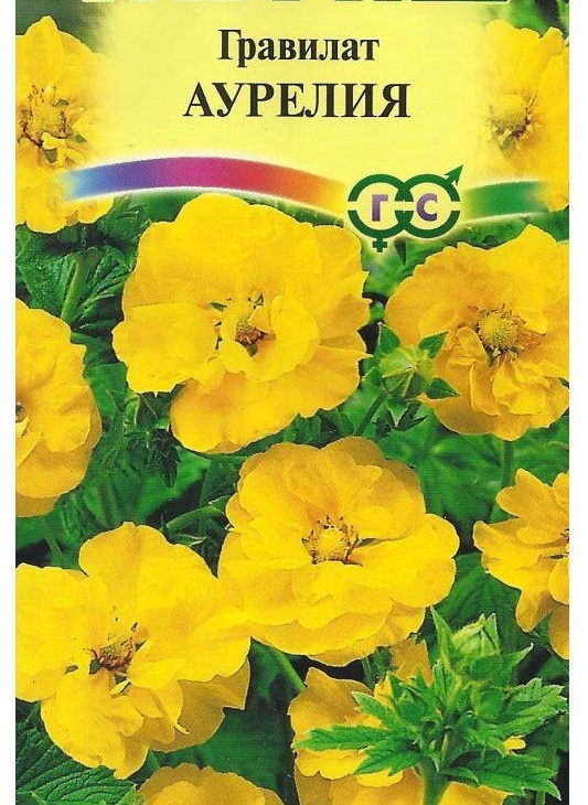 d15870819cb8ffe9e74a5b78bb85ef8b