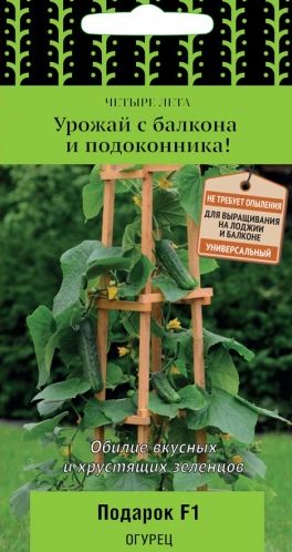 Семена Огурец Подарок (Поиск) 5шт