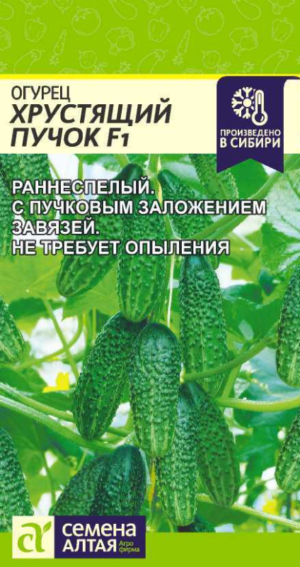 Семена Огурец Хрустящий Пучок (Семена Алтая) 5шт