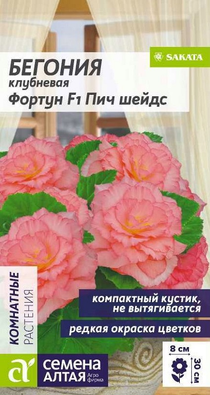 Семена Бегония (Семена Алтая) Фортун Пич шейдс 4шт