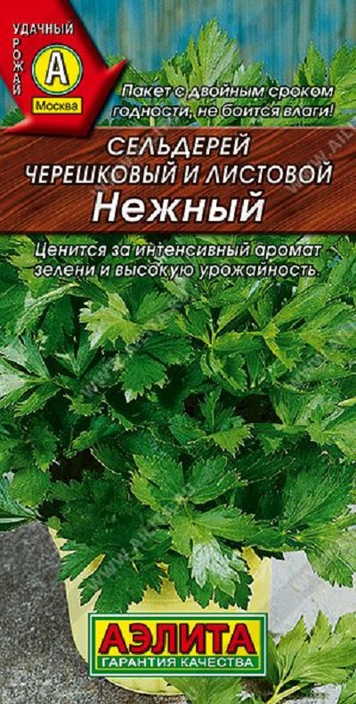 Семена Сельдерей лист. Нежный (Аэлита) 0,5г