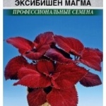 d47986fb722e1f9c4da077e39ee07b9d