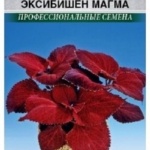 d4ea8d8cddb0032380c7e3859d210802