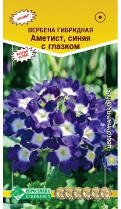 Семена Вербена (Eurosamen) Аметист синяя с глазком 10шт