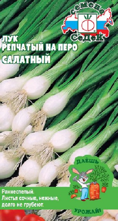 Семена Лук Салатный (Седек) на зелень 1гр