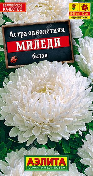 Семена Астра (Аэлита) Миледи Белая 0,2г