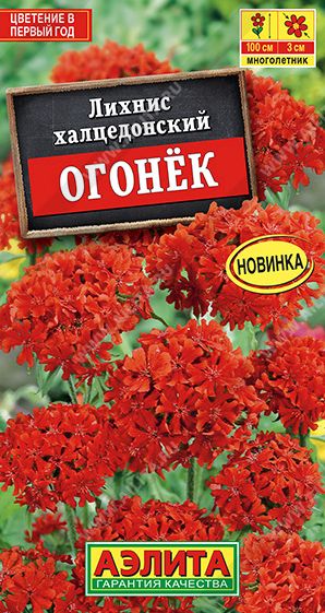 Семена Лихнис (Аэлита) Огонек 0,1г