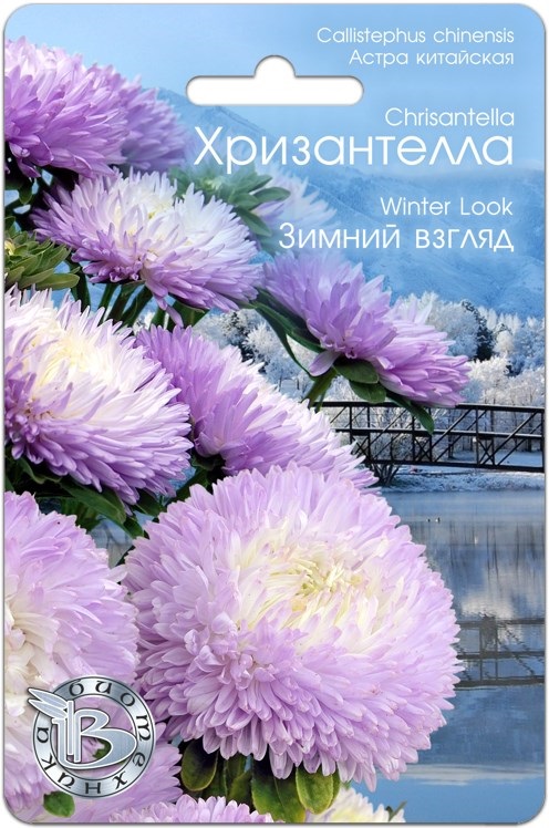 Семена Астра (Биотехника) Хризантелла Зимний взгляд 30шт