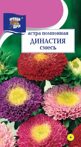 Семена Астра (Урожай Удачи) Династия Микс 0,3гр.