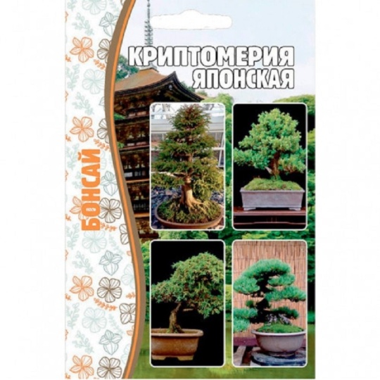 Семена Криптомерия (Редкие Семена) Японская Бонсай 5шт