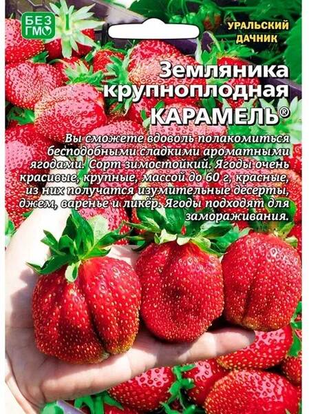 Семена Земляника Карамель (УДачник) 10шт.